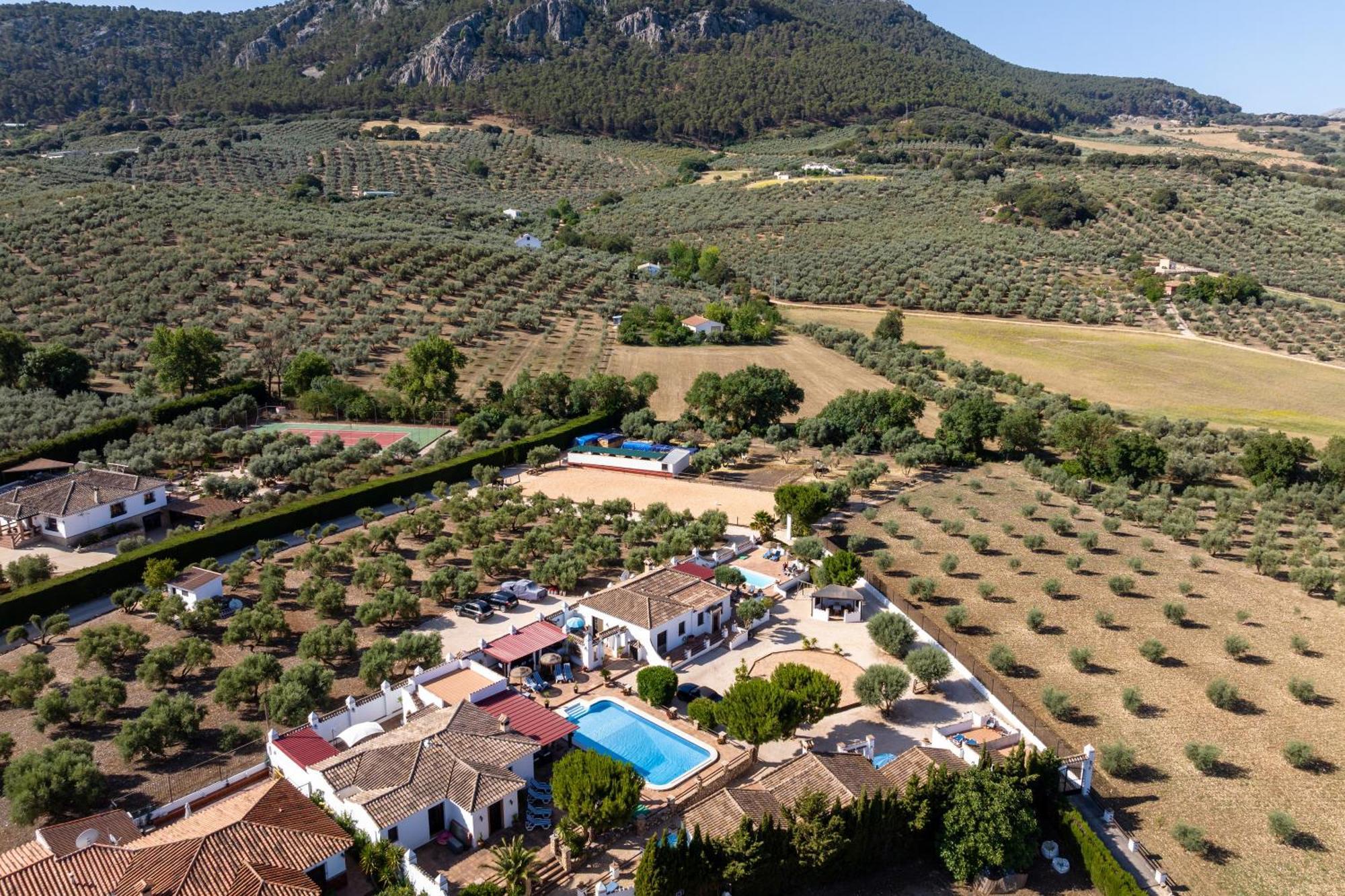 Pasa Fina, Luxury Holiday Retreat Villanueva del Trabuco Zewnętrze zdjęcie